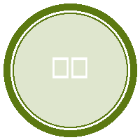 宁波町渥直播在线观看